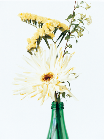 2013 autumn / winter